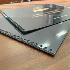 Презентация на пружине